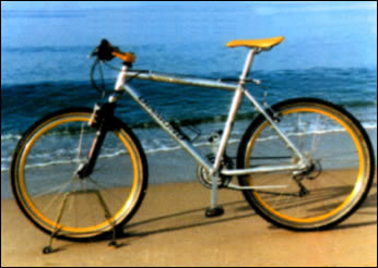 Elba Noleggio Bici ElbaService