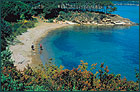 Reitzentrum Costa dei Gabbiani Reiten Insel Elba
