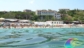 Elba Hotel villa Ombrosa