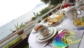 Terrazza Hotel villa Ombrosa