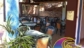 ElbaDoc Camping Osteria