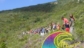 Camping Tallinucci