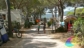 Camping Ville degli Ulivi