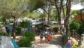 Camping Ville degli Ulivi