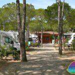 Campingplatz Marina di Campo Ville degli Ulivi