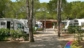 Camping Ville degli Ulivi Piazzole