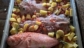 Grigliata di Pesce