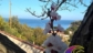 Veduta sulla baia di  Naregho dal Residence