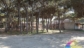 La pineta del Residence