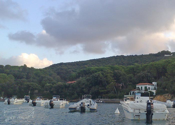 Elba Noleggio Barche Rent Malua