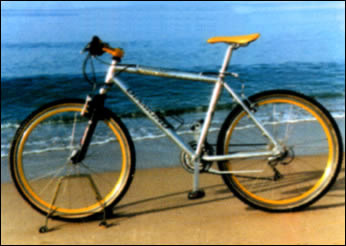 Bici Rent Procchio