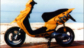 Scooter a Noleggio Procchio