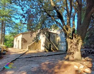 Ermitage de San Cerbone et l'énorme chêne vert de la Via Poggio Marciana Alta